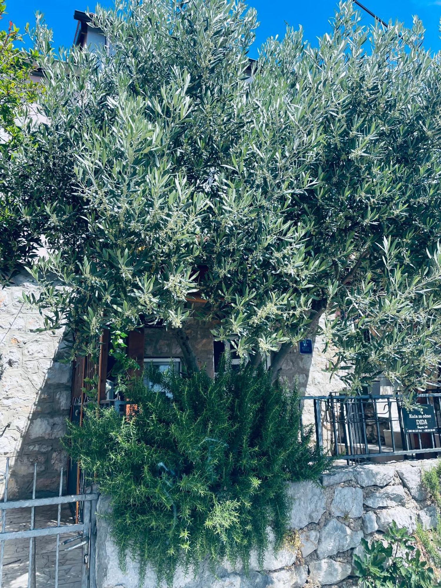 Kuca Za Odmor “Dida” Villa Stinica Exterior photo